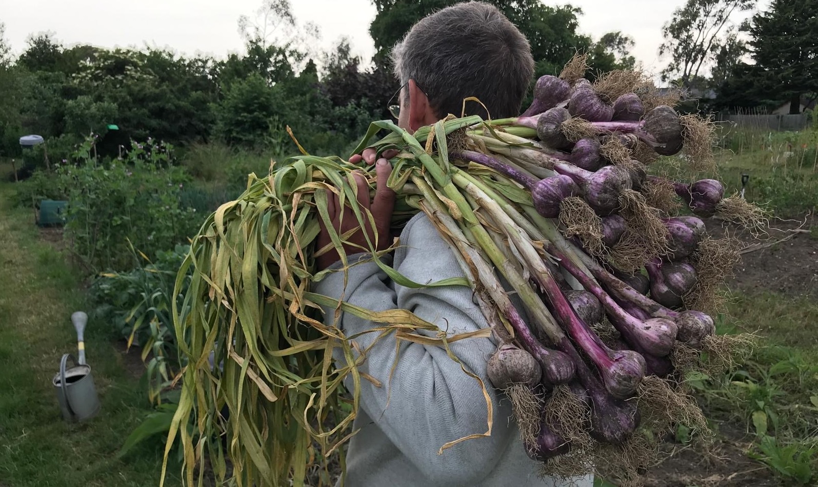 <h2>Our allotment soul </h2><div class='slide-content'><p><span class='highlight'>A tribute to Dave Fox</span></p></div><a href='/2025/12/13/dave-fox-our-allotment-soul/' class='btn' title='Read more'>Read more</a>
